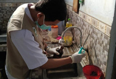 Dinas Kesehatan Kota Pekalongan Awasi Kualitas Air, Rumah Tangga Jadi Tantangan Utama