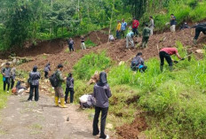 Komuniti Forestri Reborn Hijaukan Trajumas, 700 Bibit Ditanam untuk Jaga Sumber Mata Air