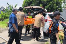Fakta Baru Kecelakaan di Perlintasan KA Kasepuhan: Bukan Kesalahan Korban, Tapi Petugas Terlambat Tutup Palang