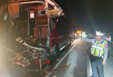 Diduga Microsleep, Bus Agra Mas Tabrak Truk Tronton di Tol Pekalongan, Kernet Tewas, 3 Luka-luka