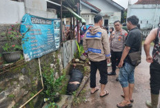 Bocah 3 Tahun Diduga Terseret Arus Selokan Saat Main Hujan di Tambakroto, Tim dan Warga Masih Sisir Lokasi
