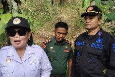 Geger Dua Macan Terekam Kamera Trap di Hutan Mendolo, Camat Lebakbarang Nekat Terobos Jalur Ekstrem