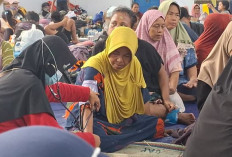 Banjir Kabupaten Pekalongan Terus Meluas, 1.764 Warga Mengungsi di 22 Titik, Air Capai 1 Meter
