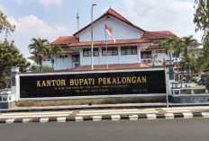 Sprindik Baru KPK Bergulir, ASN dan Pimpinan DPRD Kabupaten Pekalongan Dipanggil KPK