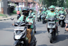 Zen On Wheels: 5 Tips Jadi ‘Queen of the Road’ bagi Perempuan Aktif