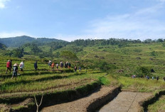 Petani Kandangserang Hilang Misterius, Ditemukan Tanpa Busana 7 Km dari Sawah, Warga Kaitkan dengan Mitos Wewe