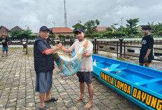 Dukung Eksistensi Perahu Lomban Batang, Empat Unit Baru Disiapkan demi Keselamatan dan Tradisi