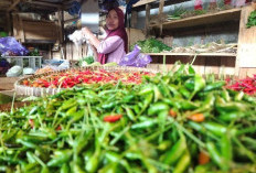 Harga Minyak Goreng Naik, Harga Cabai dan Telur di Pekalongan Turun