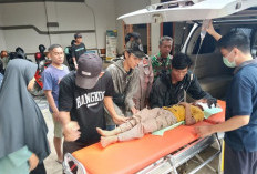 Ngeri! Mobil Berisi Ayah Dan Anak Terjun ke Jurang 300 Meter di Pekalongan, Begini Kronologinya