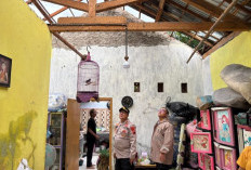 Puting Beliung Terjang Pekiringan Alit Kajen, Atap 7 Rumah Warga Berterbangan