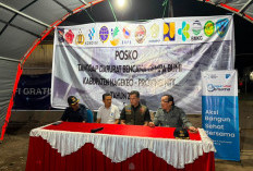 Bukan Cuma Beras dan Selimut, TBIG Bidik Pemulihan Gizi Ibu dan Balita Pascagempa NTT