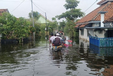 3 Pekan Banjir Rendam Kecamatan Tirto, Air Naik Lagi Usai Hujan Deras, Logistik Warga Kian Menipis