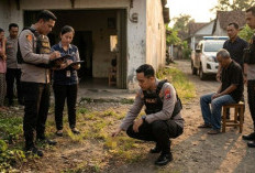 Dititipi Anak Oleh Tetangga, Tukang Potong Rambut di Pesisir Wonokerto Diduga Cabuli Balita