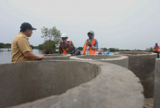 Taj Yasin Kawal Pembangunan Hybrid Seawall, Warga Demak Menatap Pemulihan Tambak
