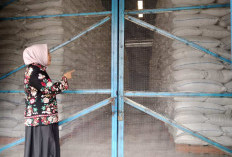 Banjir Ancam Panen, DPRD Batang Desak Bulog Percepat Serapan Gabah