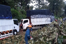 Cuaca Ekstrem Diprediksi Hingga 7 Maret, BPBD Batang Minta Masyarakat Waspadai Potensi Bencana Susulan