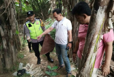 Didatangi Polisi, Arena Sabung Ayam di Desa Rengas Kedungwuni Bubar