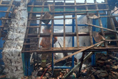 Lupa Pastikan Tungku Benar-Benar Padam, Rumah di Wonokerto Ludes Terbakar, Kerugian Capai Rp200 Juta