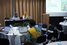 Urban Farming Dorong Ekonomi Warga Pekalongan, Lahan Terbatas Disulap Jadi Sumber Pendapatan