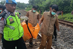 Petugas Pengontrol Rel Tewas Tertemper Kereta Api di Batang