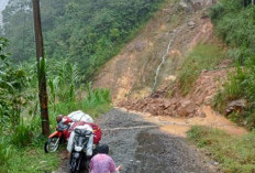30 Kali Longsor Susulan Terjadi di Bukit Gunung Beser Petungkriyono, Jalan Mudal–Dranan Ditutup Total
