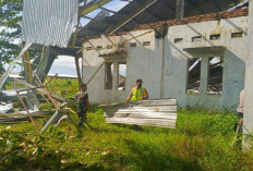 5 Desa di Wonopringgo Dihajar Angin Kencang, Puluhan Rumah Rusak, Desa Sampih Parah