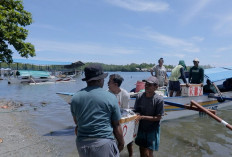 Dari Potensi Lokal ke Prestasi Nasional, Desa BRILiaN Sausu Tambu Perkuat Ekonomi Pesisir
