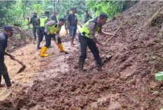 Jalur Karanganyar-Lebakbarang Tertutup Longsor, Longsor di Lolong dan Mendolo