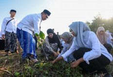 Tumbuhkan Kesadaran Ekologis, Taj Yasin Ajak Ratusan Santri Tanam Mangrove di Rembang