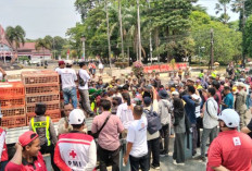 Peternak Ayam Petelur di Pekalongan Bagi-bagi 500 Ayam Hidup Gratis