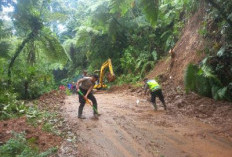 2 Titik Longsor di Kroyakan Mesoyi Tutup Jalur Doro-Petungkriyono