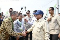 BP Tapera Cetak Rekor Baru, Akad Massal 62.710 KPR Subsidi di Batang Dihadiri Presiden Prabowo Subianto 
