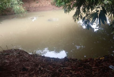 Balita Tewas Hanyut di Sungai Pekiringan Alit