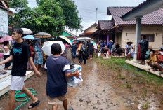 Detik-Detik Mencekam! Tanah dan Pepohonan Ambles ke Sungai Kupang, Warga Krompeng Panik