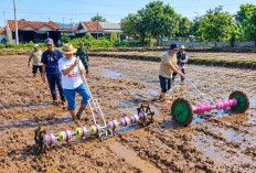 Gerakan Tanam PM AAS di Kabupaten Pekalongan Baru 32,5 Hektare, Target 2026 Capai 2.612 Hektare