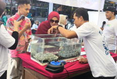 FABA Limbah PLTU Batang Disulap Menjadi Rumah Ikan, Hiu Paus dan Lumba-lumba Muncul