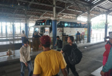 Kabar Gembira! Pemkot Pekalongan Siapkan Bus Mudik Gratis Lebaran 2026, Khusus Warga Ber-KTP Kota Batik