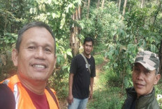 Perhutani Intensifkan Patroli Bersama Masyarakat, Untuk Jaga Keamanan Hutan