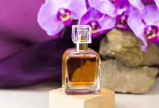 Top 4 Parfum yang Wangi dan Tahan Lama untuk Anak Sekolah