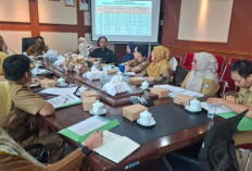 Ketapang Bentuk Tim Khusus Pantau Deforestasi, Semua Instansi Bergerak Bersama