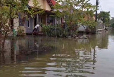 40 Hari Terendam, Warga Dukuh Buntek Pekalongan Jalani Ramadhan di Tengah Banjir