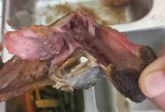 Ratusan Porsi MBG di Batang Dikembalikan ke SPPG, Daging Ayam Diduga Belum Matang Sempurna