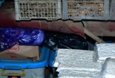 Harga Kedelai Naik, Perajin Tempe di Pekalongan Tertekan