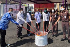Kejari Kabupaten Pekalongan Musnahkan Barang Bukti 33 Perkara, Sabu hingga 779 Butir Alprazolam Dimusnahkan