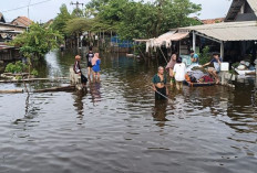Status Tanggap Darurat Ditetapkan, Banjir Rendam 11.582 Rumah di Kabupaten Pekalongan