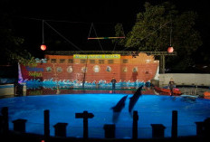 Dolphin Night Show dan Kecak Bali Jadi Magnet Akhir Tahun Safari Beach Jateng