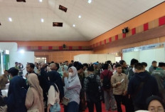 Sarjana Masih Sulit Cari Kerja, Janji 19 Juta Lapangan Kerja Belum Terasa