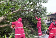 Polres Pekalongan Terjunkan Tim Evakuasi ke Titik Puting Beliung dan Pohon Tumbang, 30 Rumah di Bukur Rusak