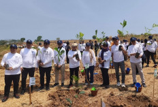 Dukung Transisi Energi Bersih, KEK Industropolis Batang Tanam Ribuan Pohon Aren untuk Bahan Baku Bioetanol
