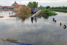Tanggul Kali Bremi Jebol 35 Meter, Ratusan Rumah di Padukuhan Kraton Pekalongan Utara Terendam Banjir